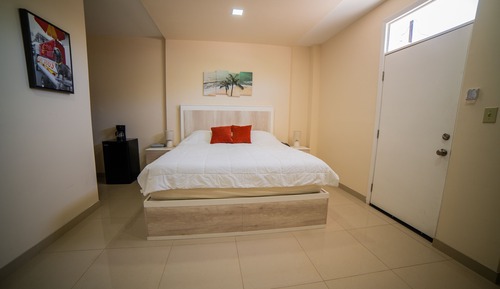 Habitación individual de lujo, 1 cama de matrimonio grande