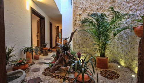 Apartamento de lujo, 2 habitaciones, cocina, en una planta alta (Jardin)