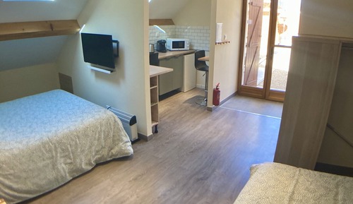Suite ejecutiva, accesible para personas con discapacidad, baño privado (FRC)
