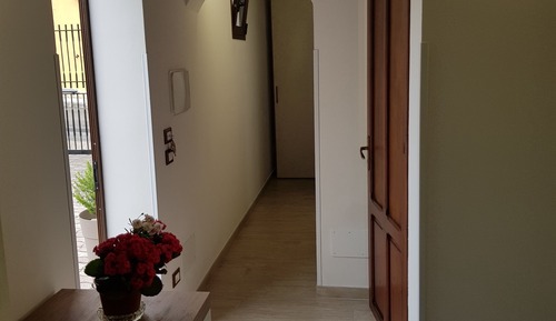Habitación cuádruple clásica