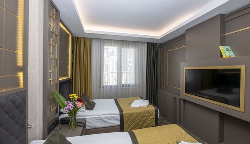 Habitación Deluxe con 2 camas individuales