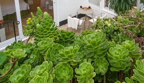 Estudio (Samphire Studio)