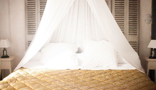 Habitación (Fleur Blanche)