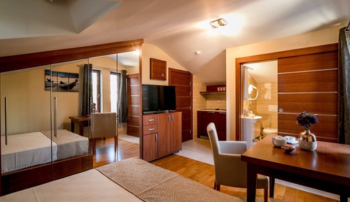 Mini Studio Apartment