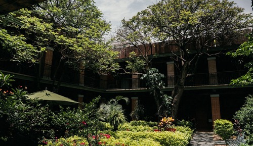Suite Deluxe