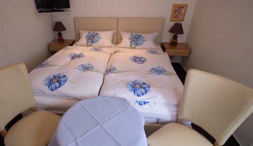 Habitación básica doble, baño privado