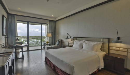 Habitación Deluxe, 1 cama de matrimonio grande (VinWonders Park Access)