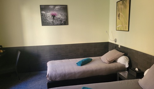 Habitación estándar con 2 camas individuales, baño privado (Twin)