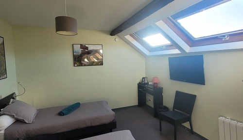 Habitación estándar con 1 cama doble o 2 individuales, baño privado (Double 8)