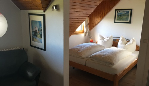 Habitación clásica doble, baño privado