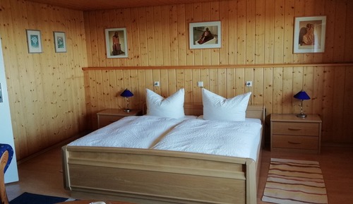 Habitación Confort doble, 1 cama doble, baño privado, vistas a la montaña