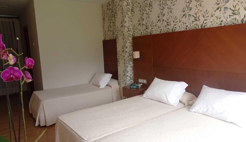 Habitación triple, accesible para personas con discapacidad, baño privado