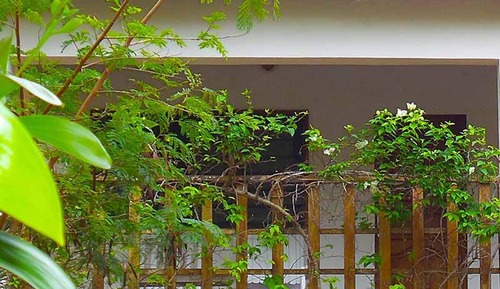 Habitación económica doble, vistas al jardín