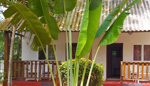 Bungalow estándar, 1 cama doble, terraza, vistas al mar