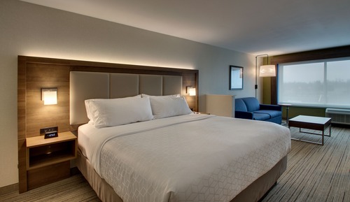 Habitación estándar, 1 cama de matrimonio grande (Roll-In Shower)