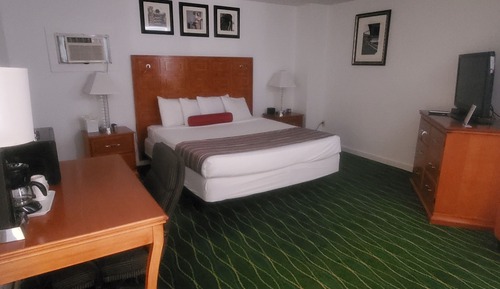 Habitación Premium, 1 cama de matrimonio grande, frigorífico y microondas