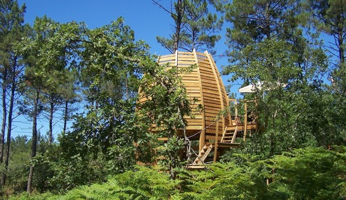 Casa en un árbol