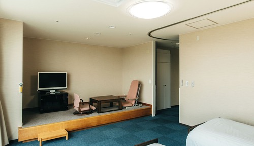 Habitación, accesible para personas con discapacidad, no fumadores (With bath)