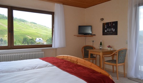 Habitación doble, balcón, vistas al viñedo