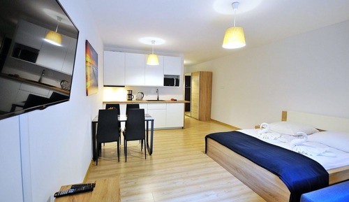 Suite estudio clásica, 1 cama de matrimonio con sofá cama, vistas al parque (A001)