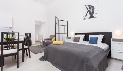 Apartamento superior, 1 cama de matrimonio con sofá cama (4)