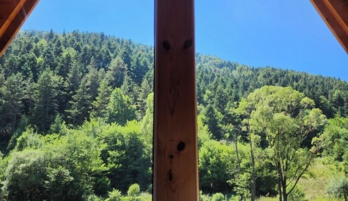 Casa en un árbol familiar