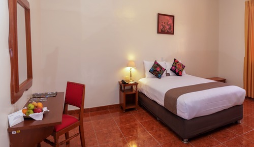 Habitación doble, 1 cama doble