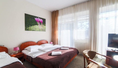 Habitación cuádruple estándar