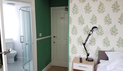 Habitación clásica con 1 cama doble o 2 individuales, baño privado