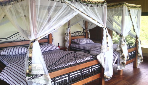 Tienda estándar, 1 cama doble