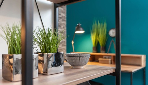 Estudio Confort
