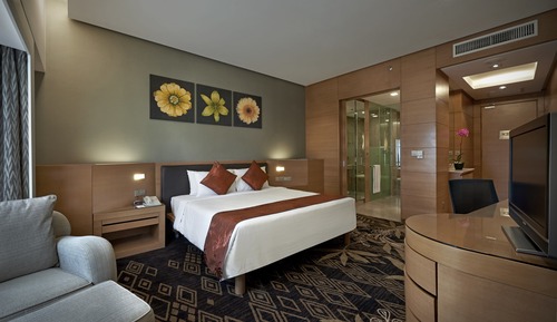 Habitación Deluxe, 1 cama de matrimonio grande, vistas a la ciudad