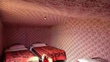 Tent, Multiple Beds (Quadruple)