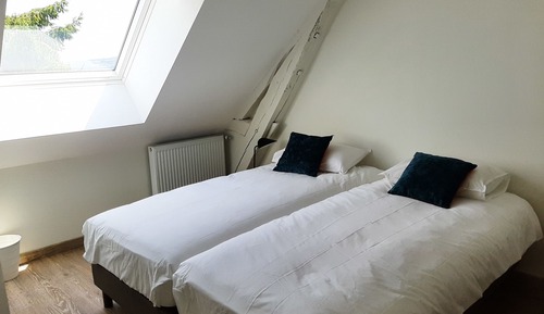 Habitación clásica con 2 camas individuales