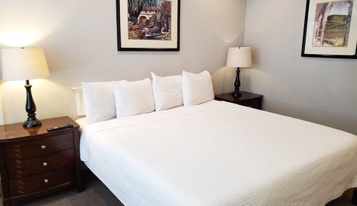 Habitación estándar, 1 cama de matrimonio grande