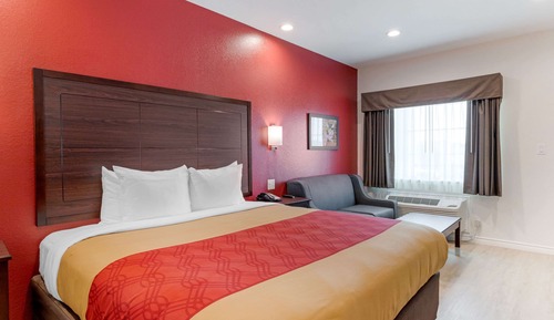 Habitación estándar, 1 cama de matrimonio grande, no fumadores