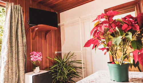 Habitación #2, cama doble, baño privado