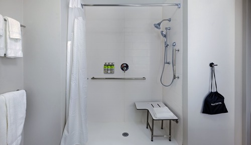 Habitación, 1 cama de matrimonio grande, accesible para personas con discapacidad (Roll-In Shower)