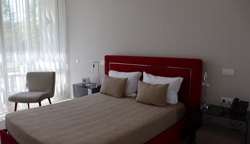 Habitación Confort doble, balcón, vistas al jardín