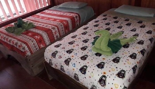 Habitación económica