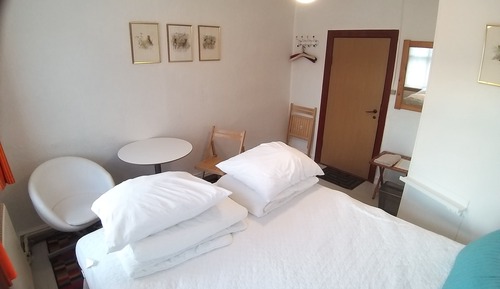 Habitación estándar doble (4)