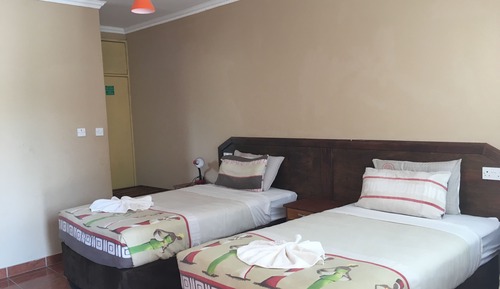 Habitación estándar con 2 camas individuales