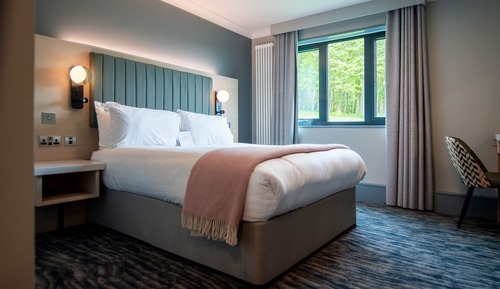 Habitación estándar doble, 1 cama doble