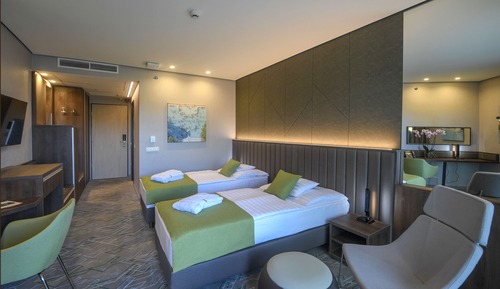 Habitación estándar con 1 cama doble o 2 individuales