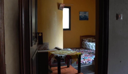 Evasion Lemon (7)