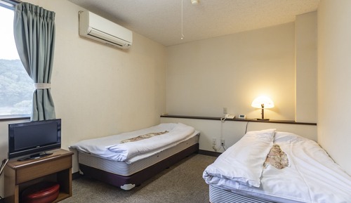Habitación básica con 2 camas individuales, no fumadores
