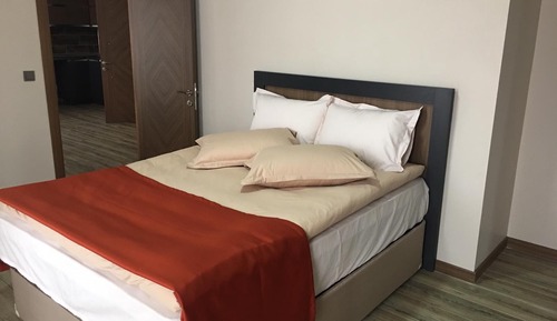 Suite estándar