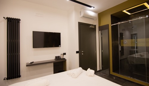 Habitación exclusiva, 1 cama de matrimonio (4)