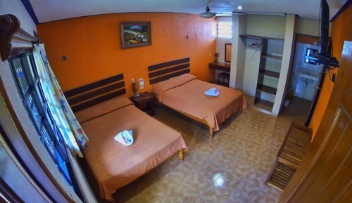 Habitación básica doble, 2 camas dobles