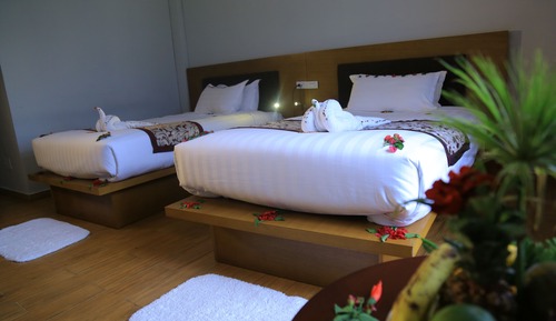 Habitación estándar con 2 camas individuales